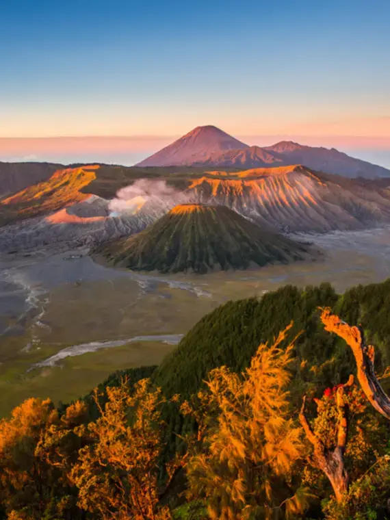 Heaven and Hell in Bukit Tigapuluh National Park Rainforest